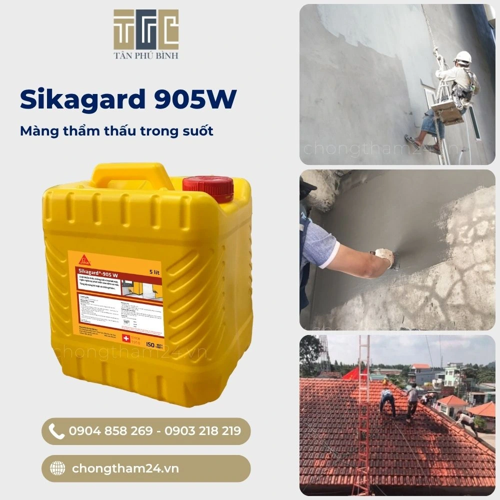 Sikagard 905W – Màng thẩm thấu trong suốt chống thấm tường nhà